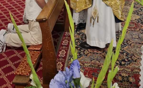 Assomption - 2026