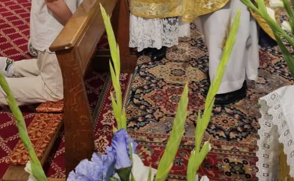 Assomption - 2026