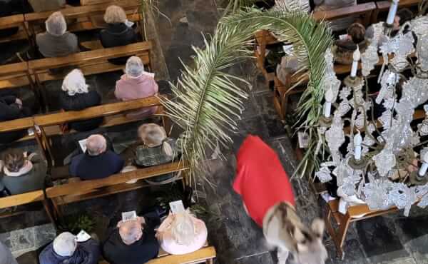 Messe des Rameaux et de la Passion - 2026