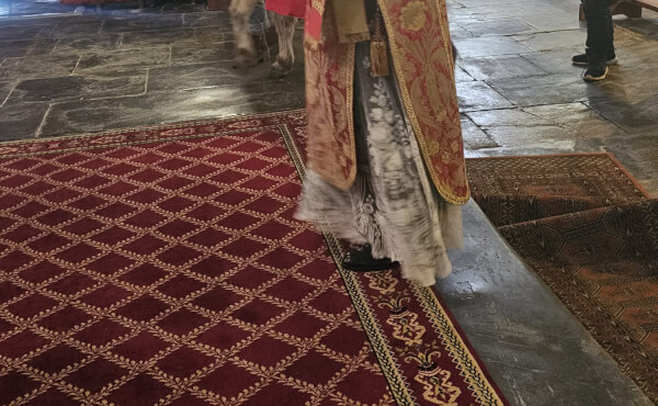 Messe des Rameaux et de la Passion - 2026