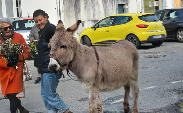 Messe des Rameaux et de la Passion - 2026