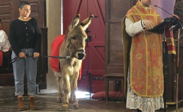 Messe des Rameaux et de la Passion - 2026