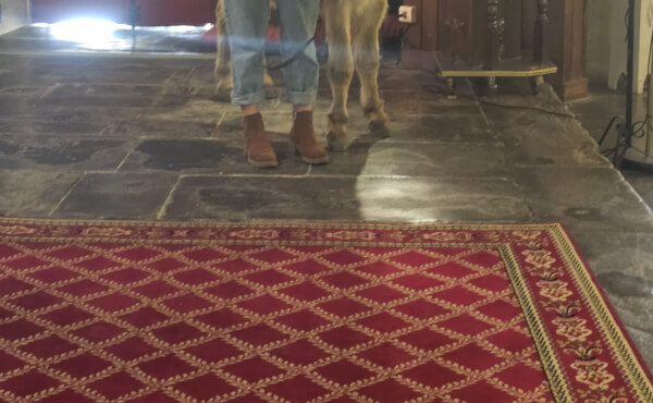 Messe des Rameaux et de la Passion - 2026