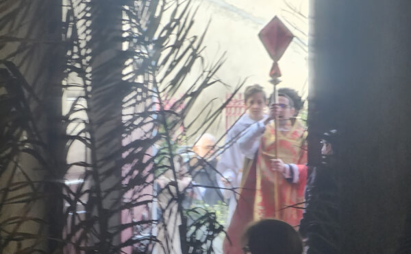 Messe des Rameaux et de la Passion - 2026