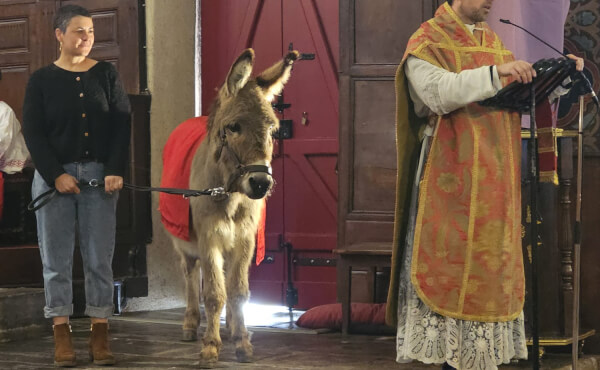 Messe des Rameaux et de la Passion - 2026