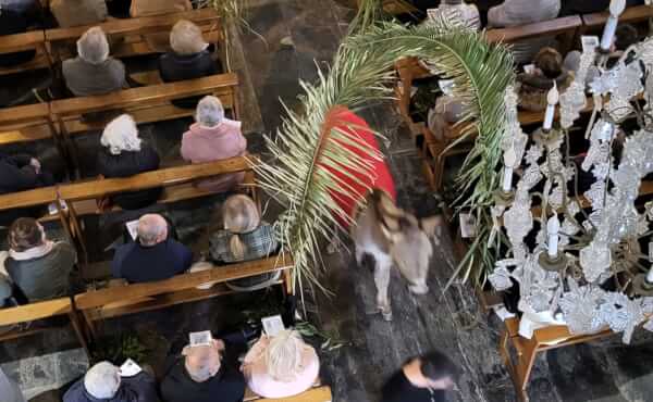 Messe des Rameaux et de la Passion - 2026