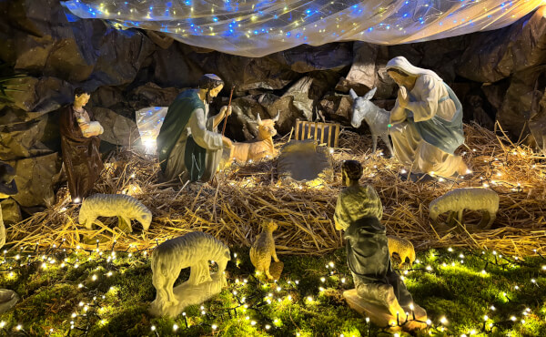 Préparatifs de Noël 2024