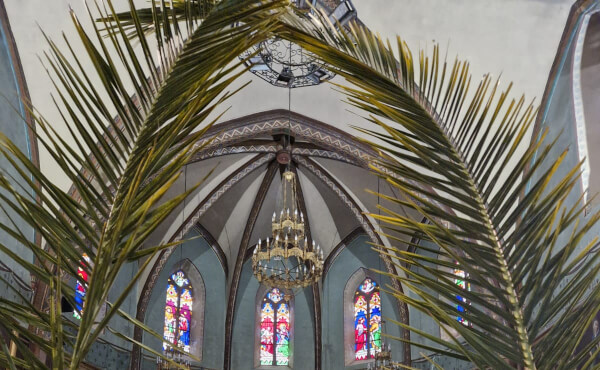 Messe des Rameaux et de la Passion